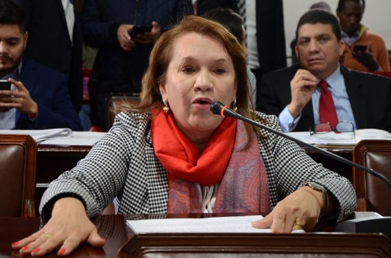 <p>Alarma por aumento de feminicidios en el país: Concejal Luz Marina Gordillo </p>