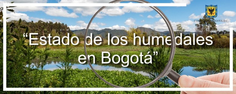 <p>Urge actualización de medidas ambientales para humedales en Bogotá </p>