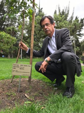 <p>Promoveré la siembra de más de un millón de nuevos árboles  “Bogotá + verde 2030”</p>