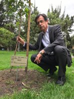 Promoveré la siembra de más de un millón de nuevos árboles “Bogotá + verde 2030”