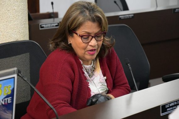 <p>MIRA apoya prohibir uso de asbesto en contratos de obras públicas en Bogotá</p>