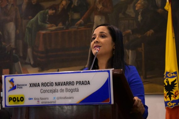 <p>Concejal Xinia Navarro solicitó compromiso de bancadas del Concejo para que se pronuncien sobre el POT y evitar que se decrete por el alcalde mayor</p>