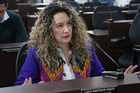 <p>La concejal Lucía Bastidas, defiende en el Concejo de Bogotá el POT para la ciudad</p>