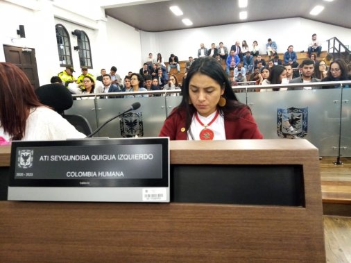 <p>En la Plenaria del Concejo de Bogotá D.C. realizada el pasado lunes 13 de enero de 2020</p>