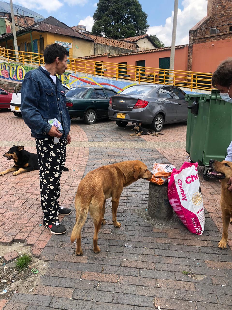 Personas y perros en las calles 