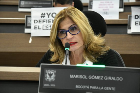 <p>Concejal Marisol Gómez alerta sobre posibles delitos del crimen organizado durante el aislamiento</p>