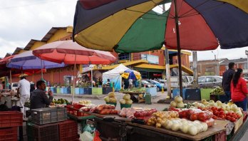 Las Plazas de Mercado Distritales deben ser determinantes en la Red de Abastecimiento de Bogotá
