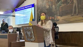 Aprobado en primer debate el proyecto por el cual se establecen entornos educativos seguros en Bogotá