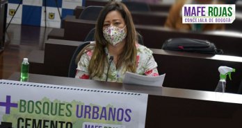 Bogotá necesita más Bosques Urbanos y menos cemento
