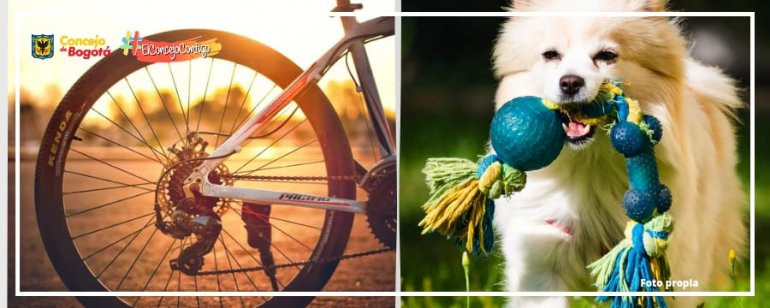 <p>Pasa a Plenaria Proyecto que busca incentivar el uso de la bici y Proyecto que promueve zonas de descanso y seguras para animales domésticos</p>