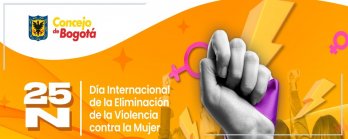 Foro 25N - en conmemoración del 25 de noviembre como día internacional de la eliminación de la violencia contra la mujer