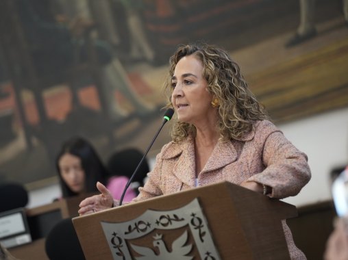 <p>“22.000 mil familias quedarían desamparadas por el Gobierno Nacional en la entrega de subsidios de vivienda”, Concejal Sandra Forero Ramírez</p>