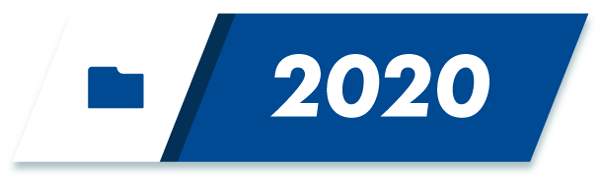 botón año 2020