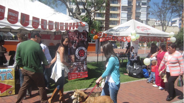 Imagen foto_00000001