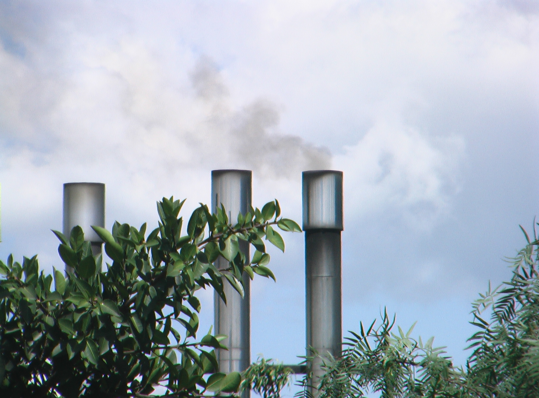 Imagen foto_00000005