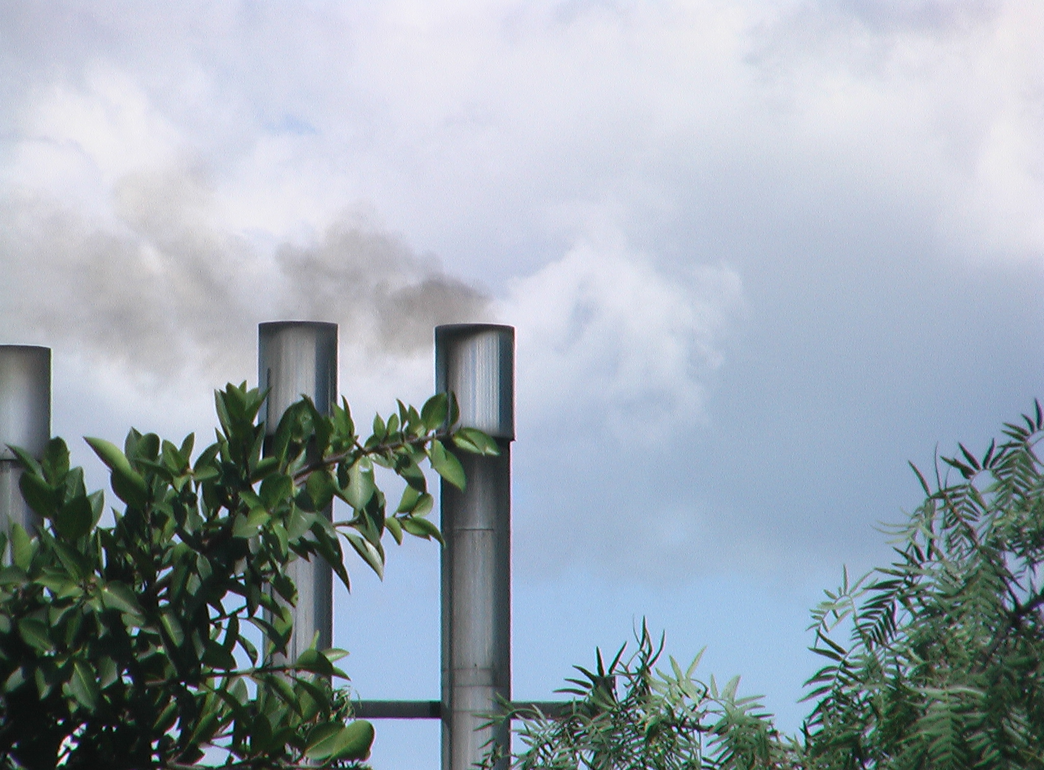 Imagen foto_00000006