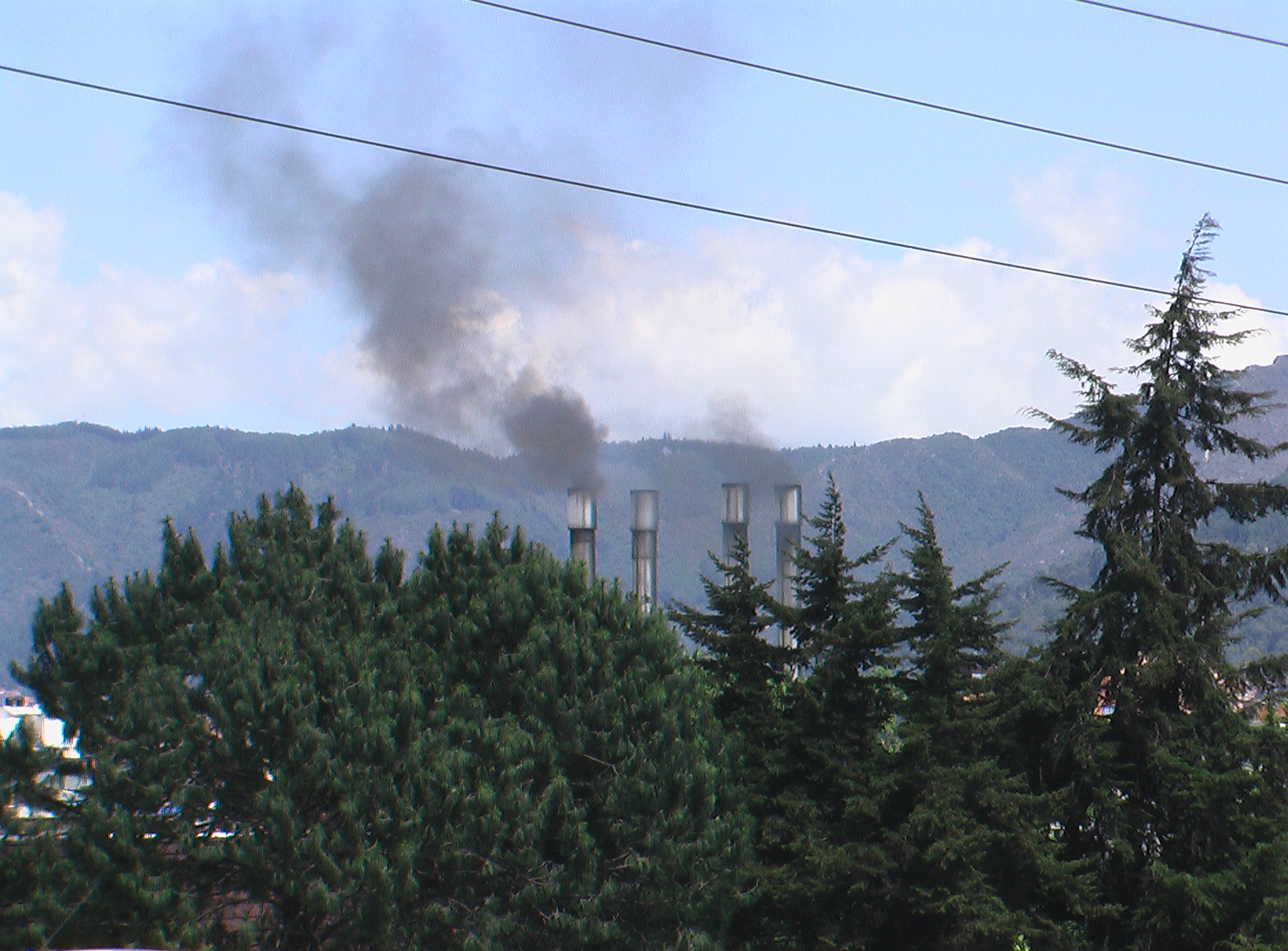 Imagen foto_00000007