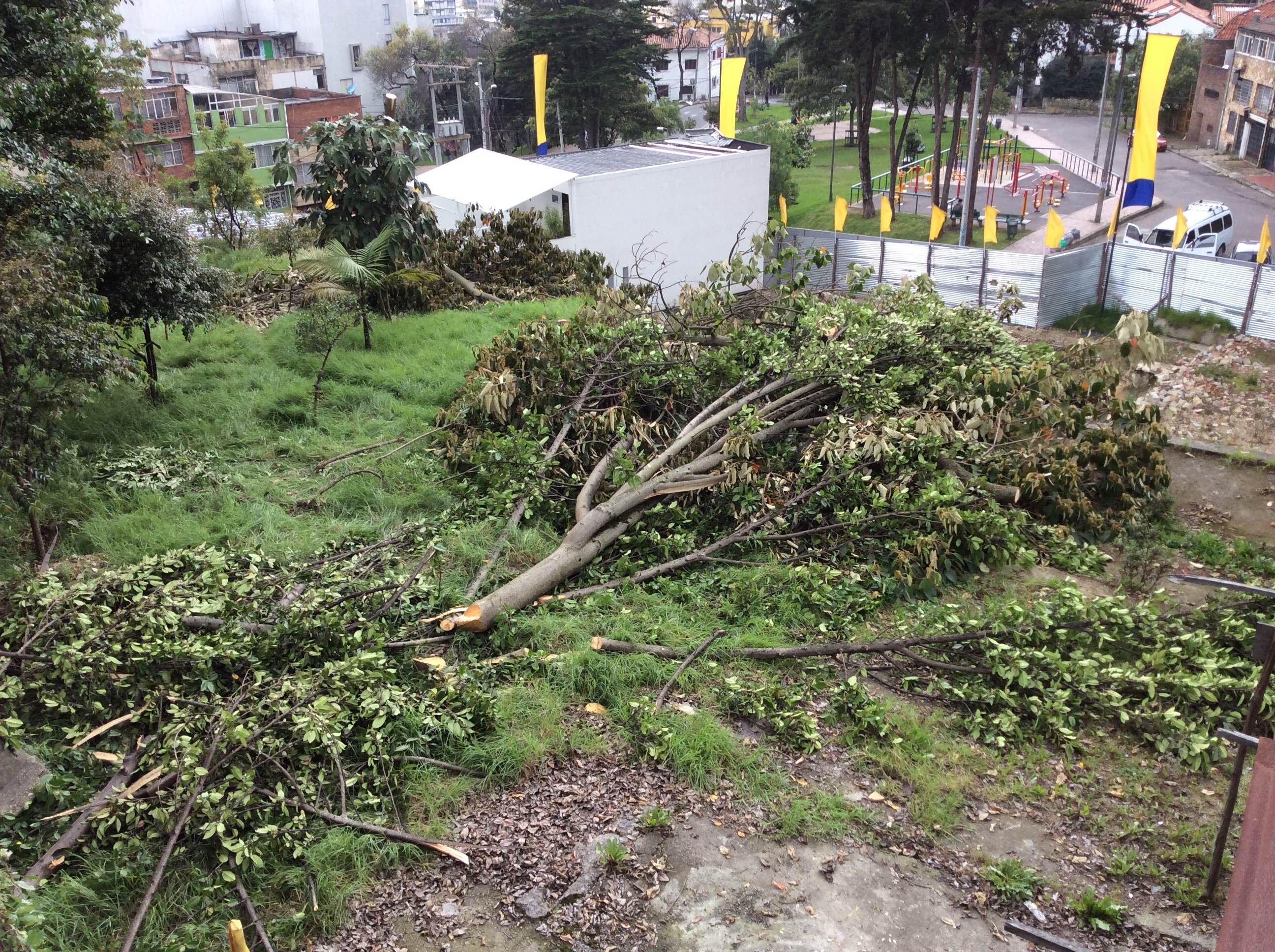 Imagen foto_00000005