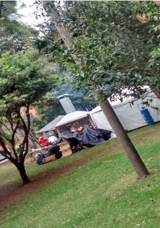 Imagen foto_00000003