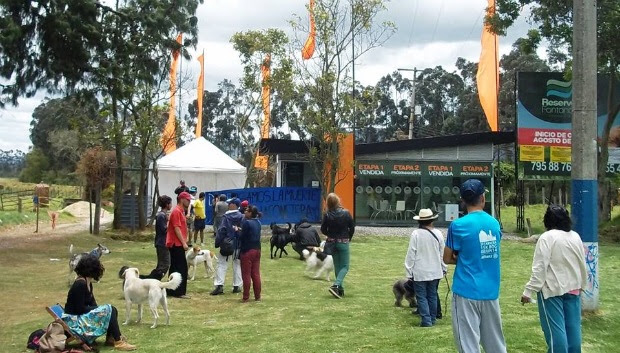 Imagen foto_00000004