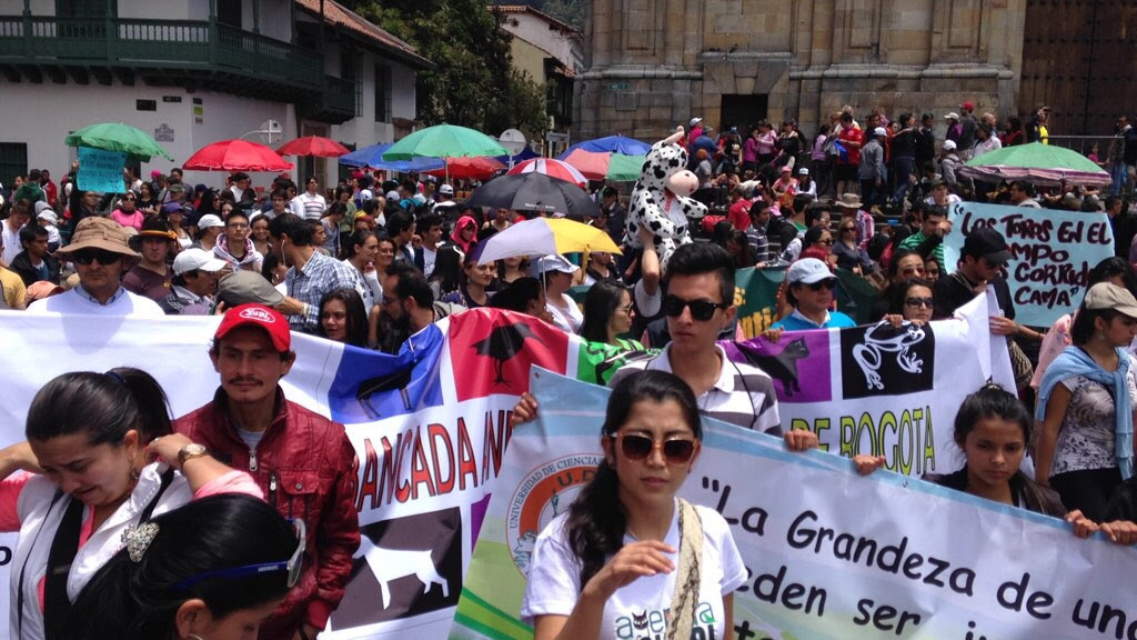 Imagen foto_00000003