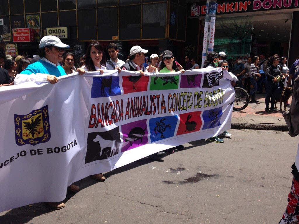 Imagen foto_00000004