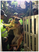 Imagen foto_00000005