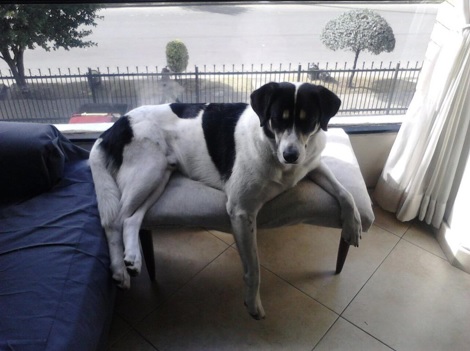 Imagen foto_00000001