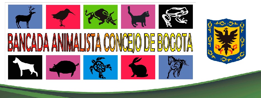Imagen foto_00000001