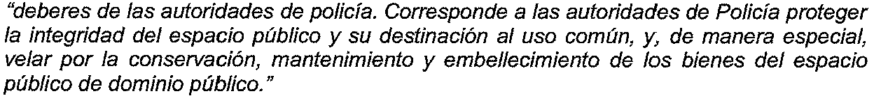 Imagen foto_00000026