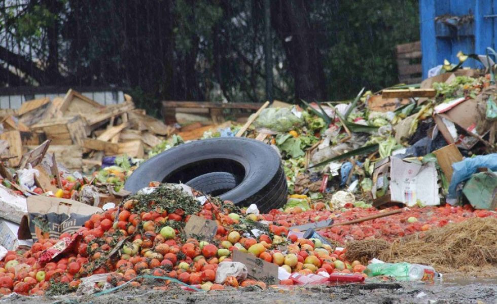 Imagen foto_00000013