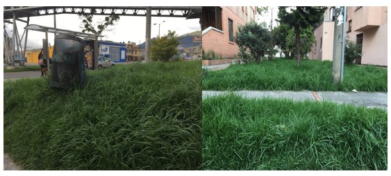 Imagen foto_00000001