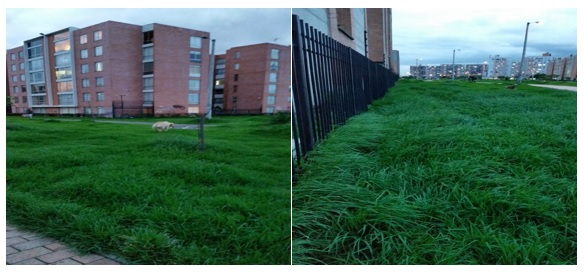 Imagen foto_00000003