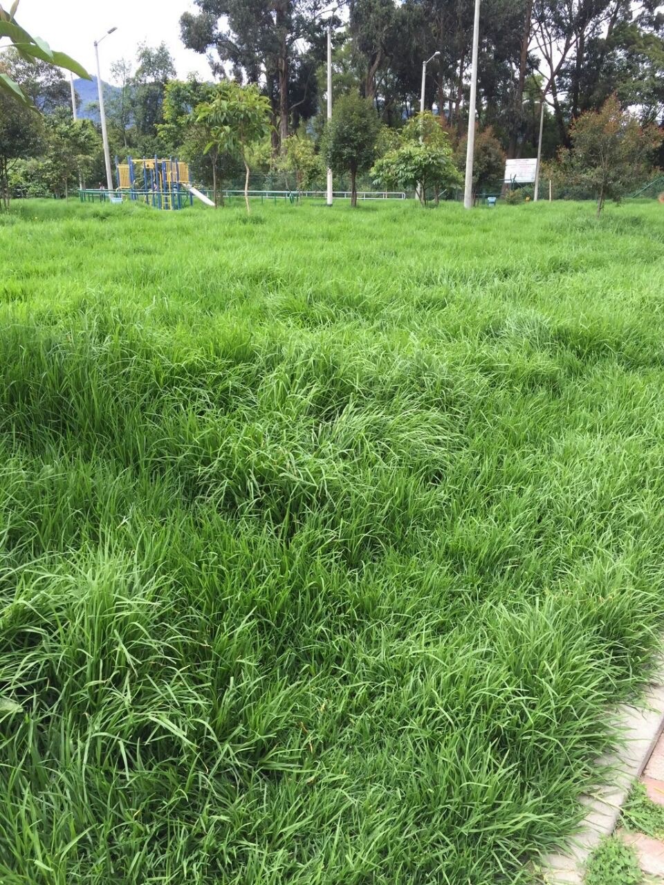 Imagen foto_00000014