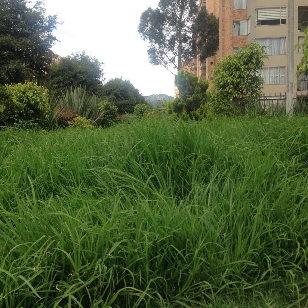 Imagen foto_00000015