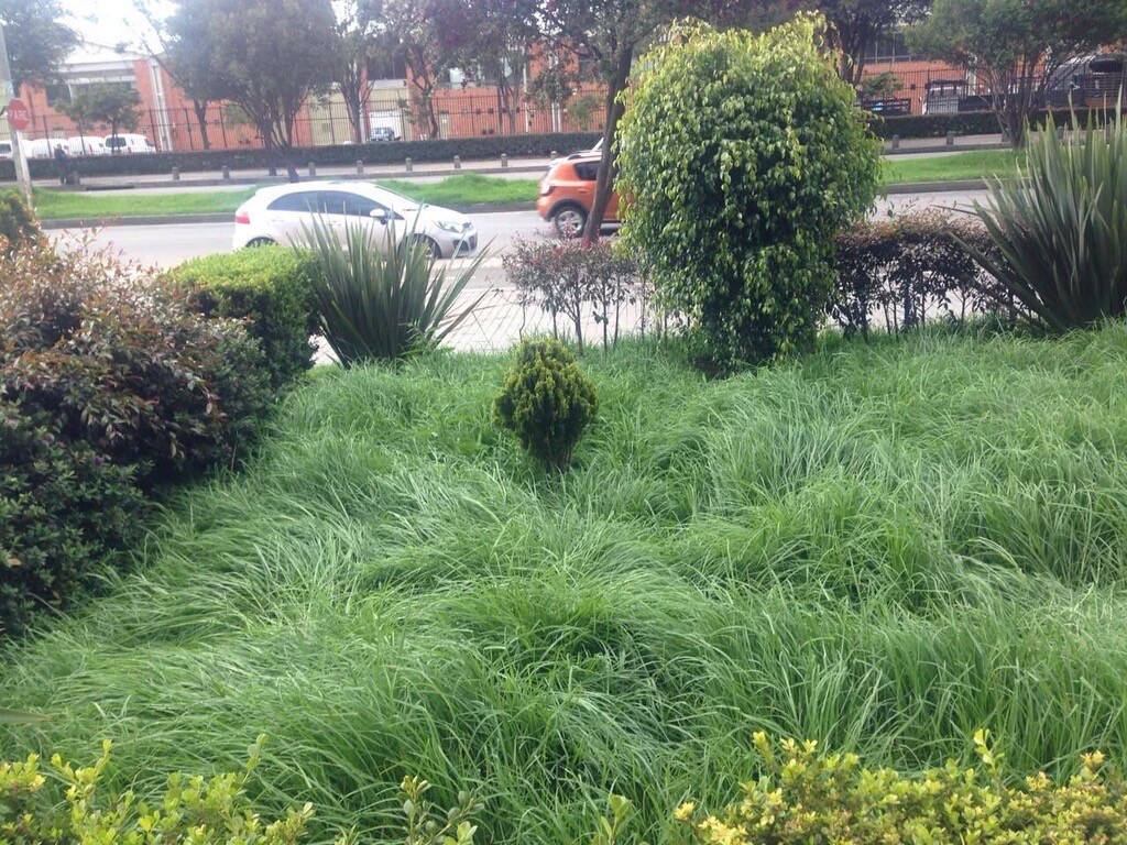 Imagen foto_00000016