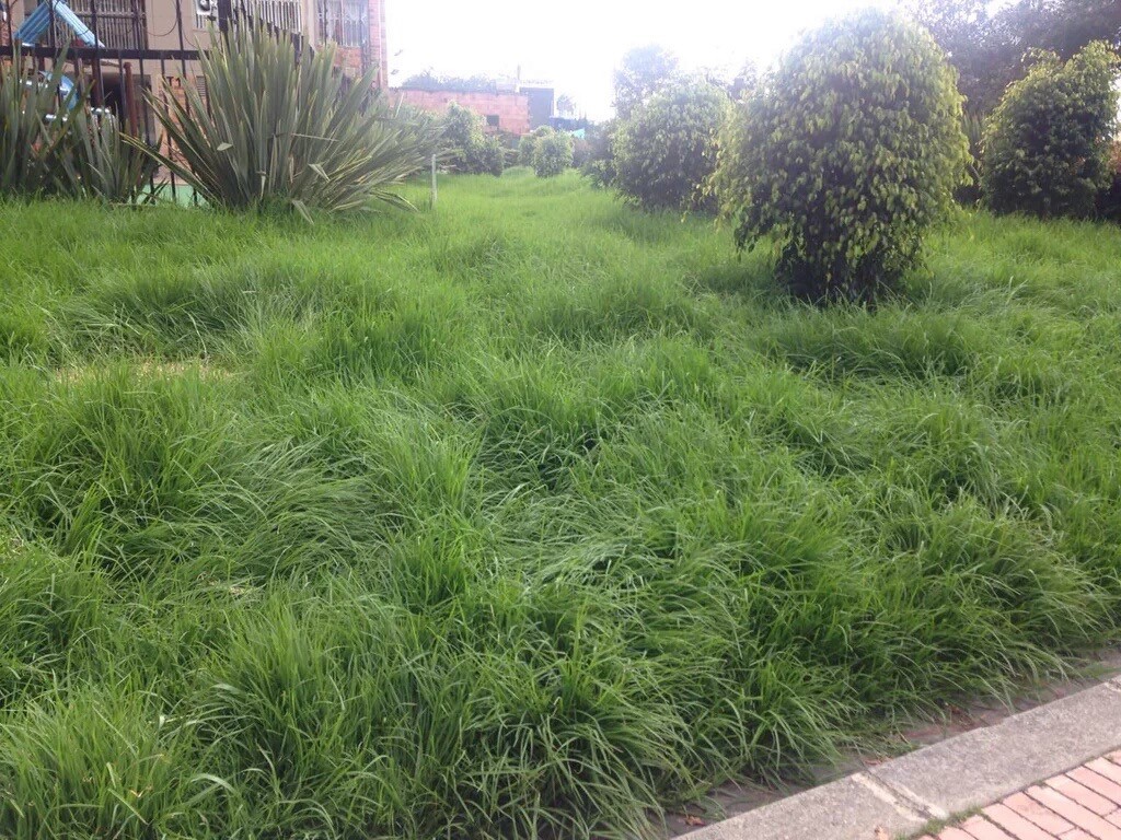 Imagen foto_00000018