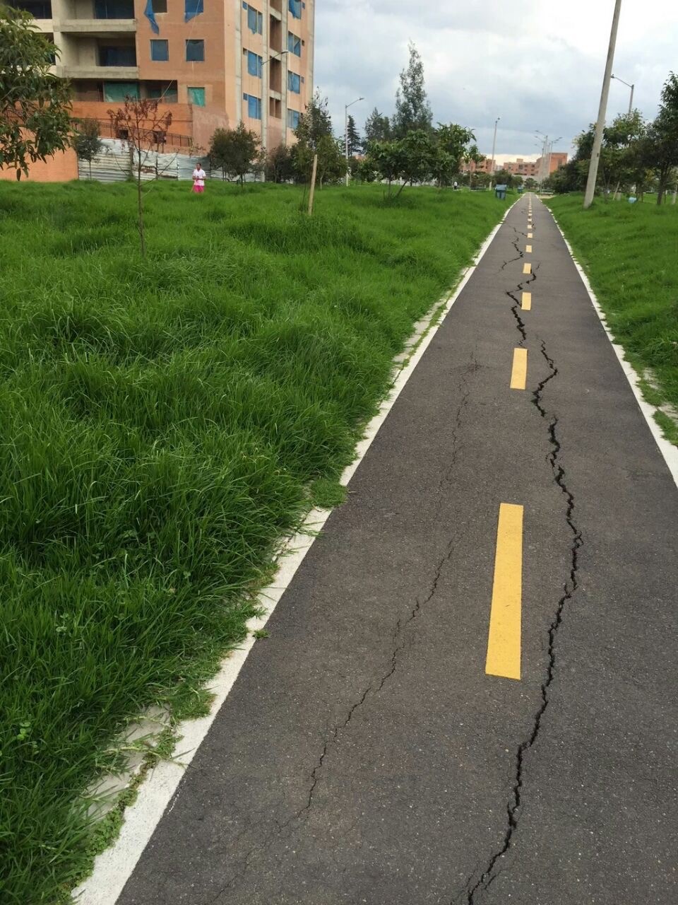 Imagen foto_00000019