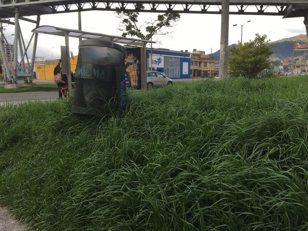 Imagen foto_00000020