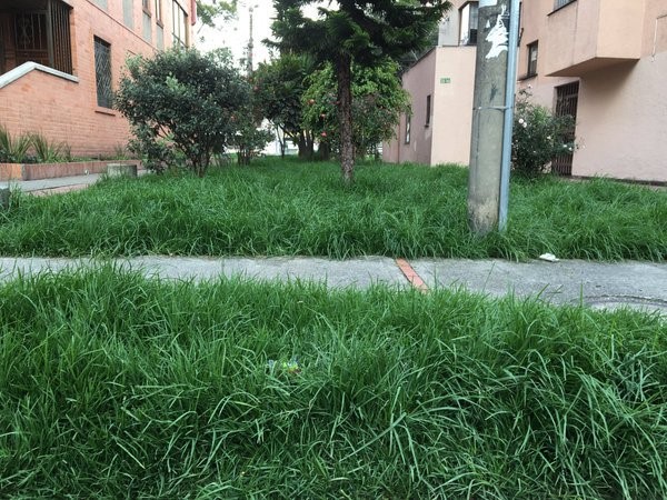 Imagen foto_00000021