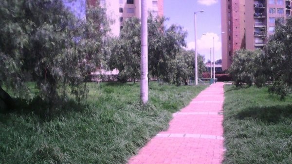 Imagen foto_00000023