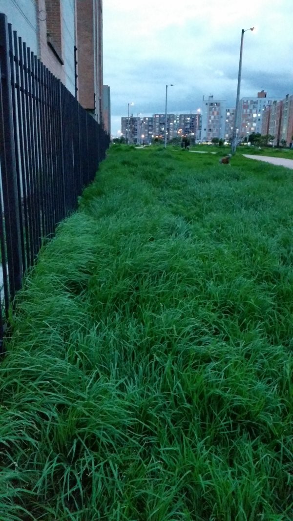 Imagen foto_00000024