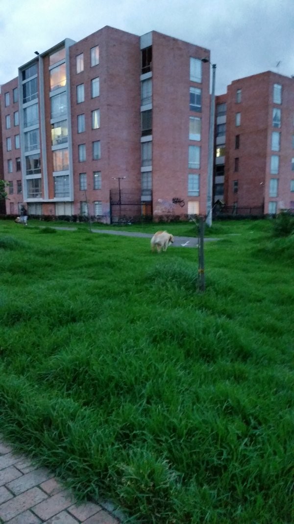 Imagen foto_00000025