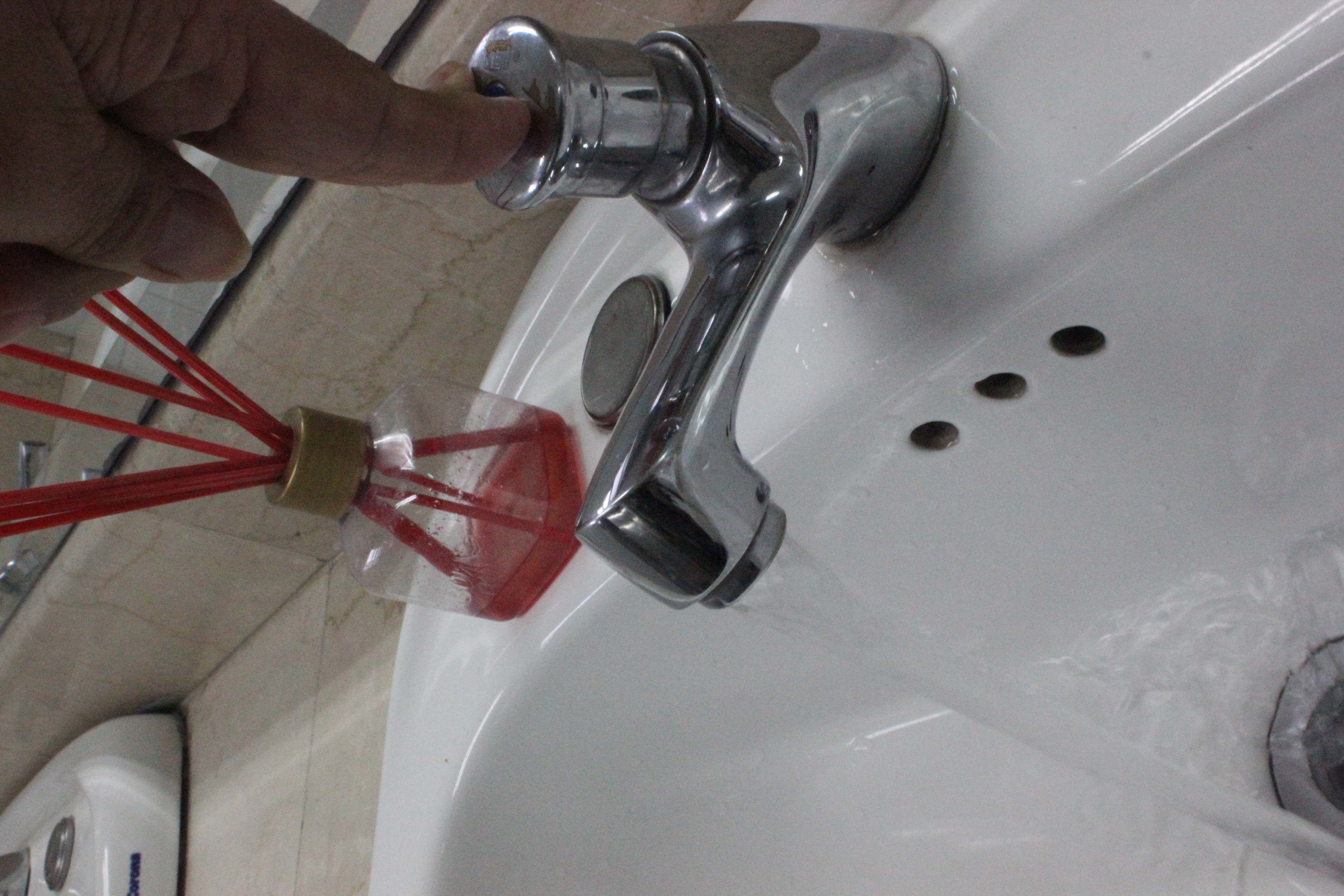 Imagen foto_00000016