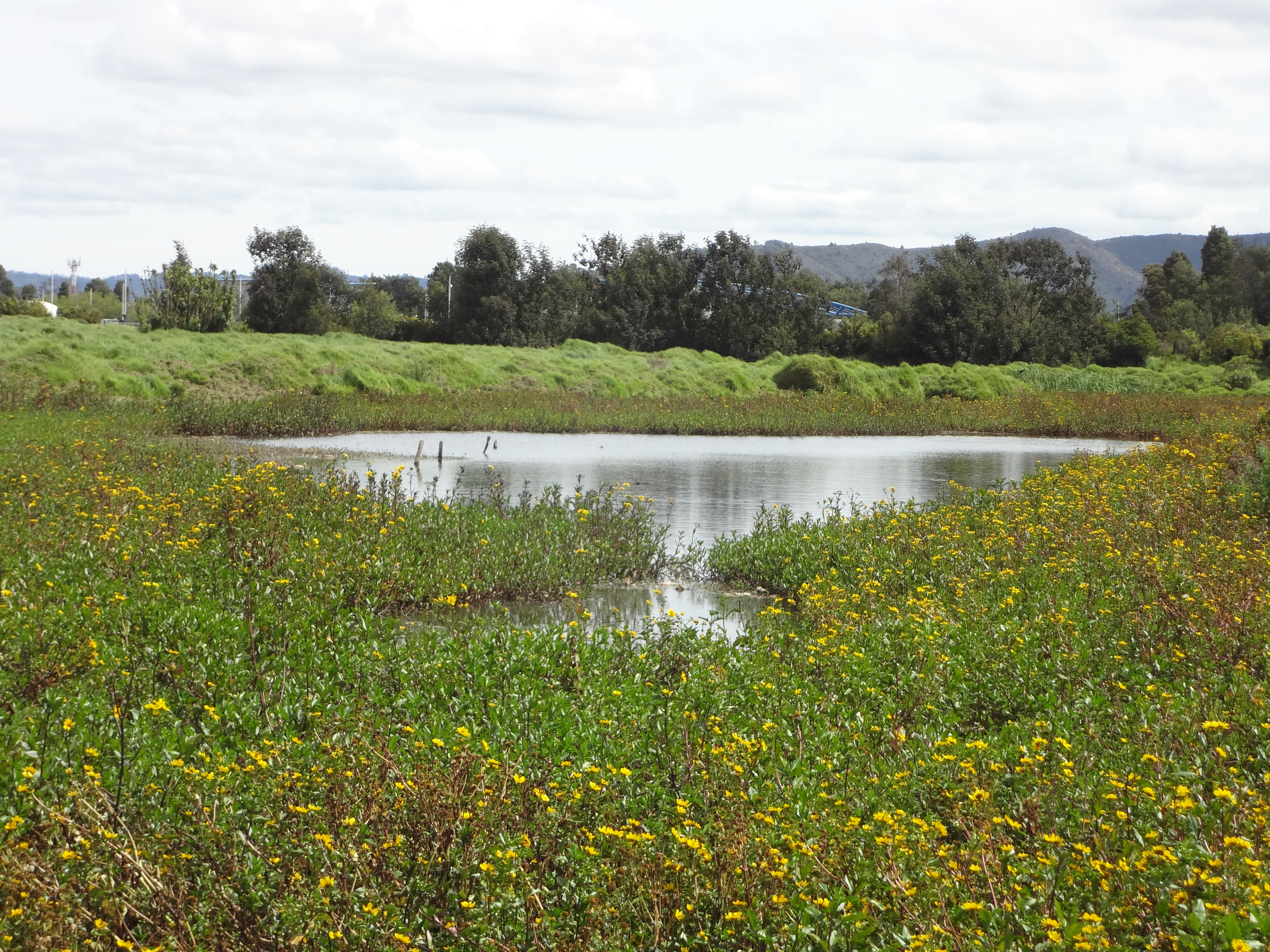 Imagen foto_00000001