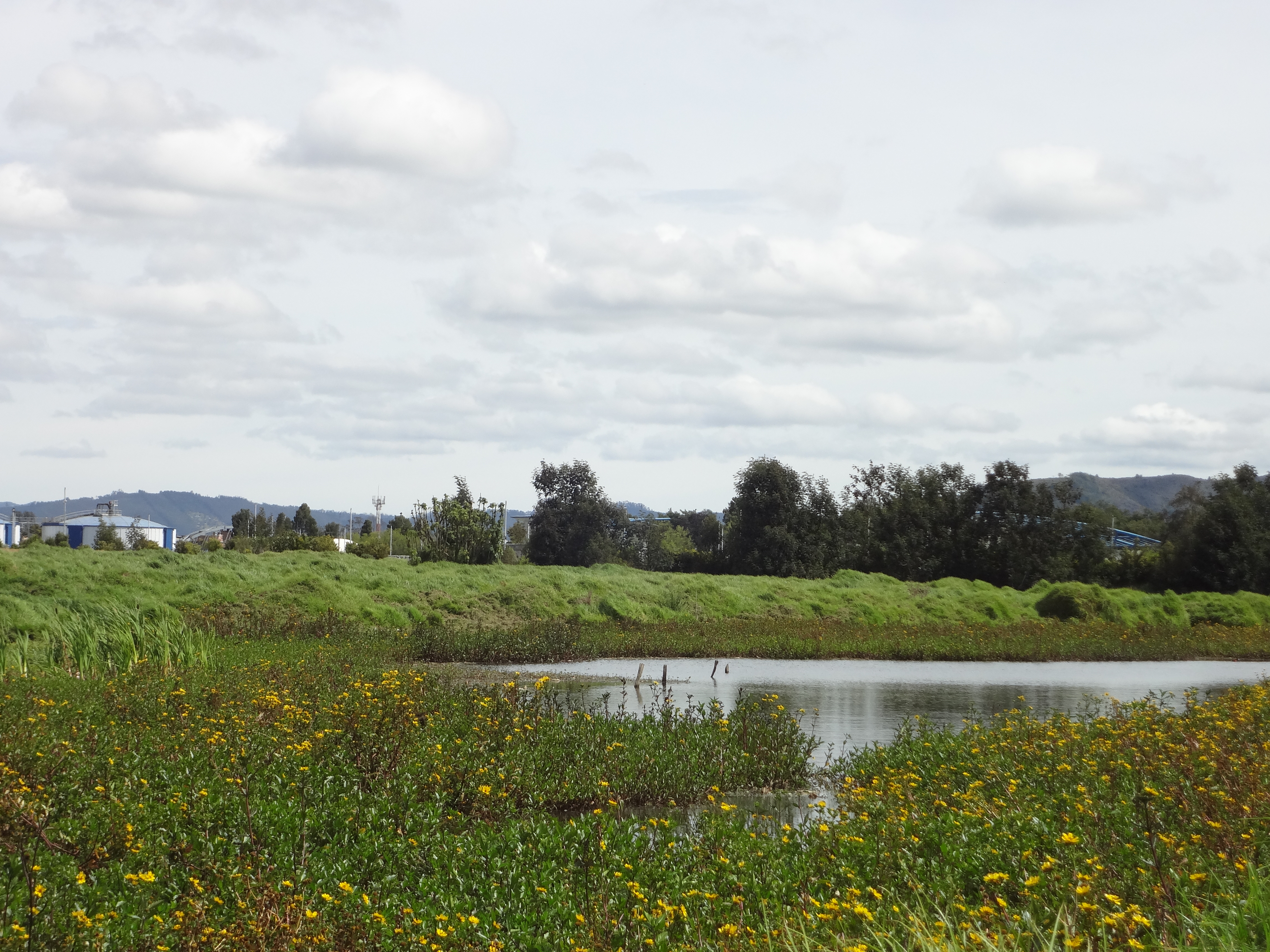 Imagen foto_00000004