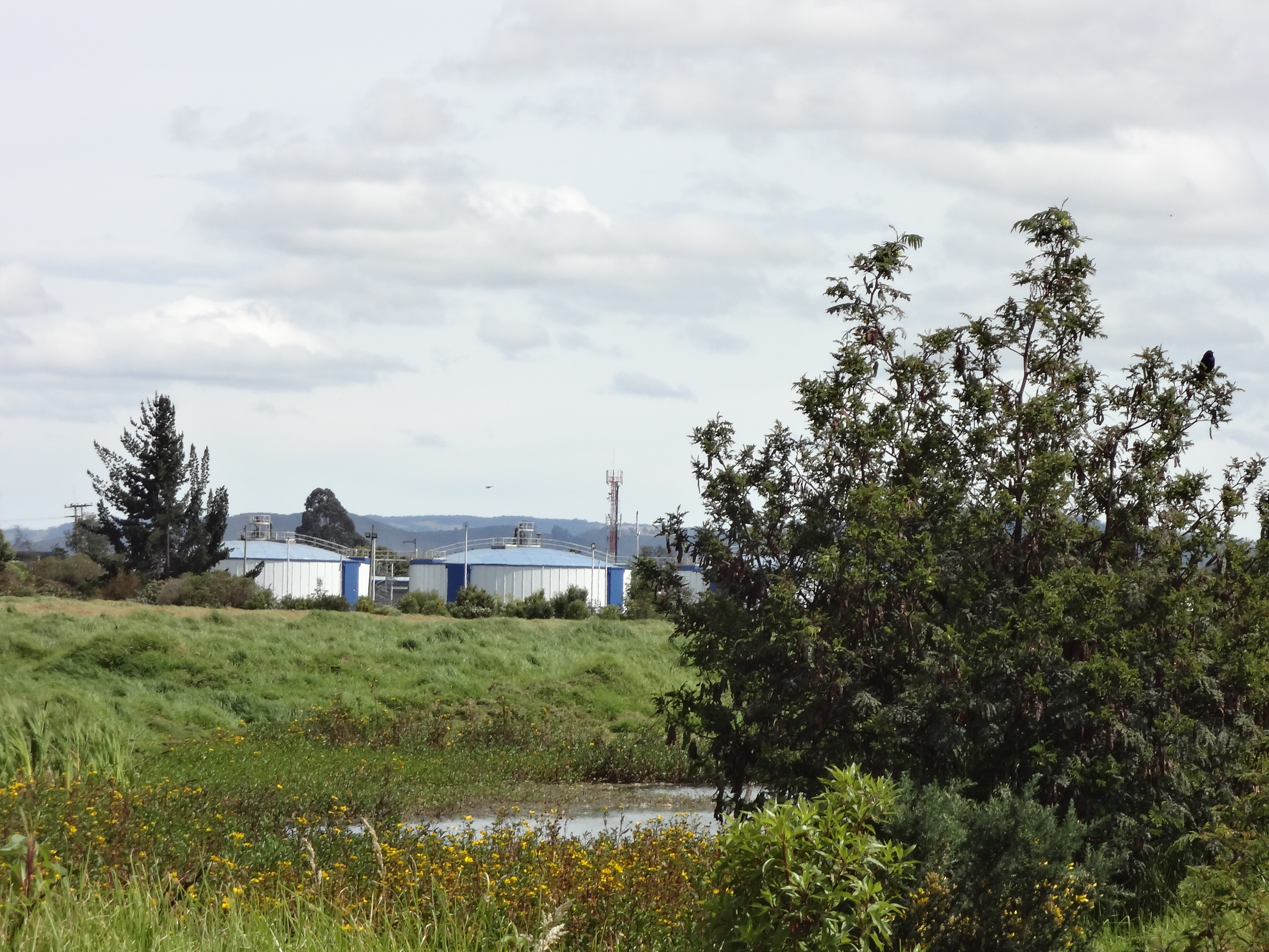 Imagen foto_00000005