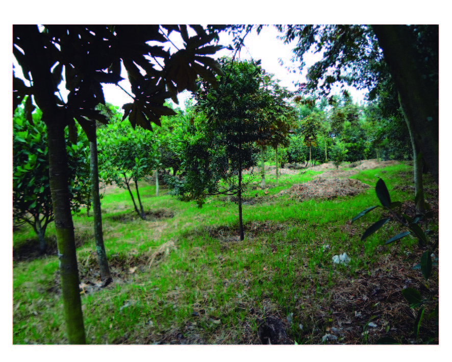 Imagen foto_00000006