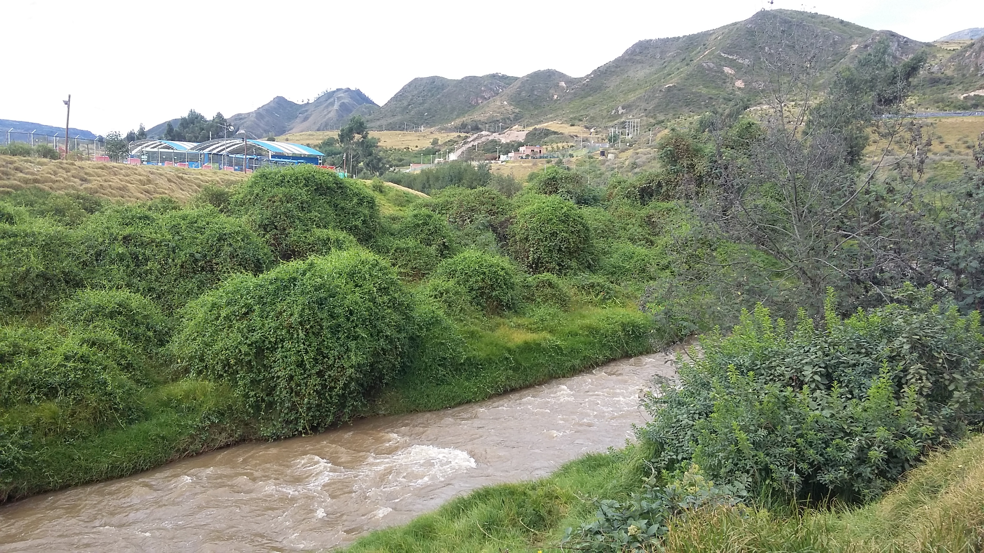 Imagen foto_00000015