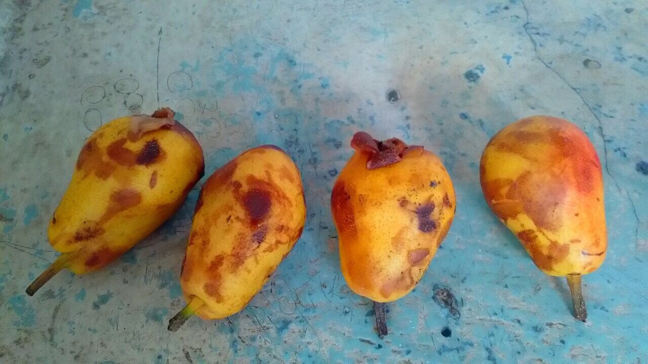 Imagen foto_00000012